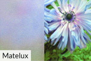 Ornamentglas Matelux