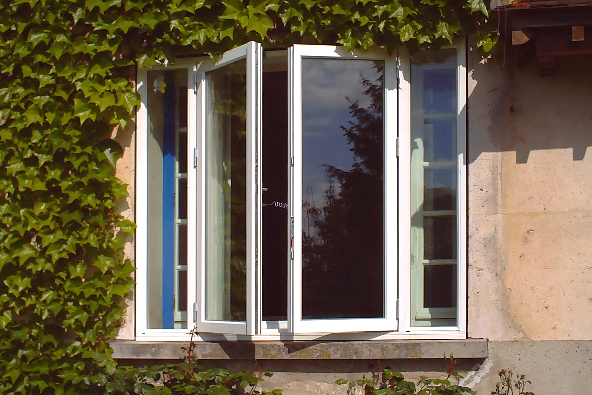 Kastenfenster mit Efeu an der Fassade